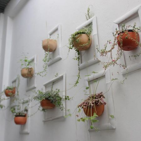 Bahareque Hostal Ibagué Zewnętrze zdjęcie
